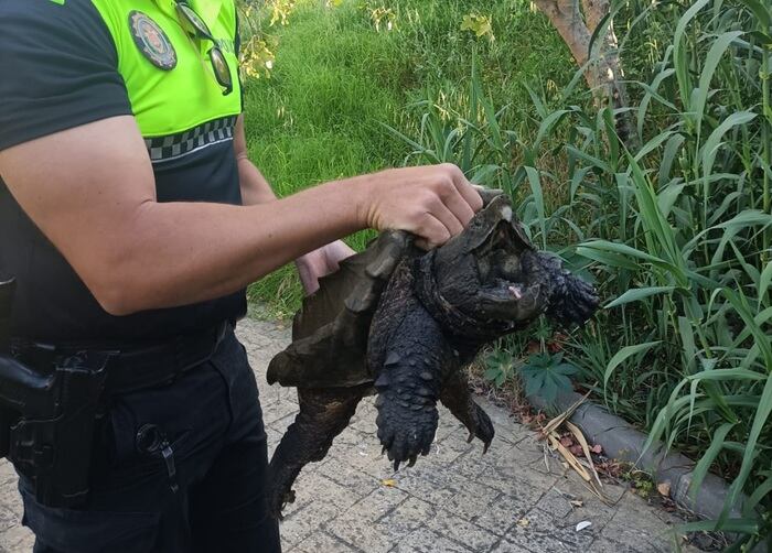 Un momento del rescate