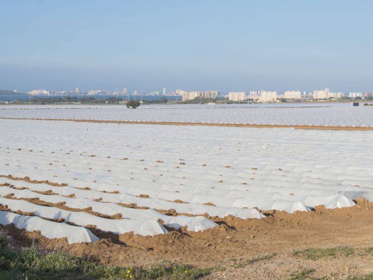 COAG lamenta que la Eurocámara no contemple "la minería o el desarrollo urbanístico" como contaminantes del Mar Menor