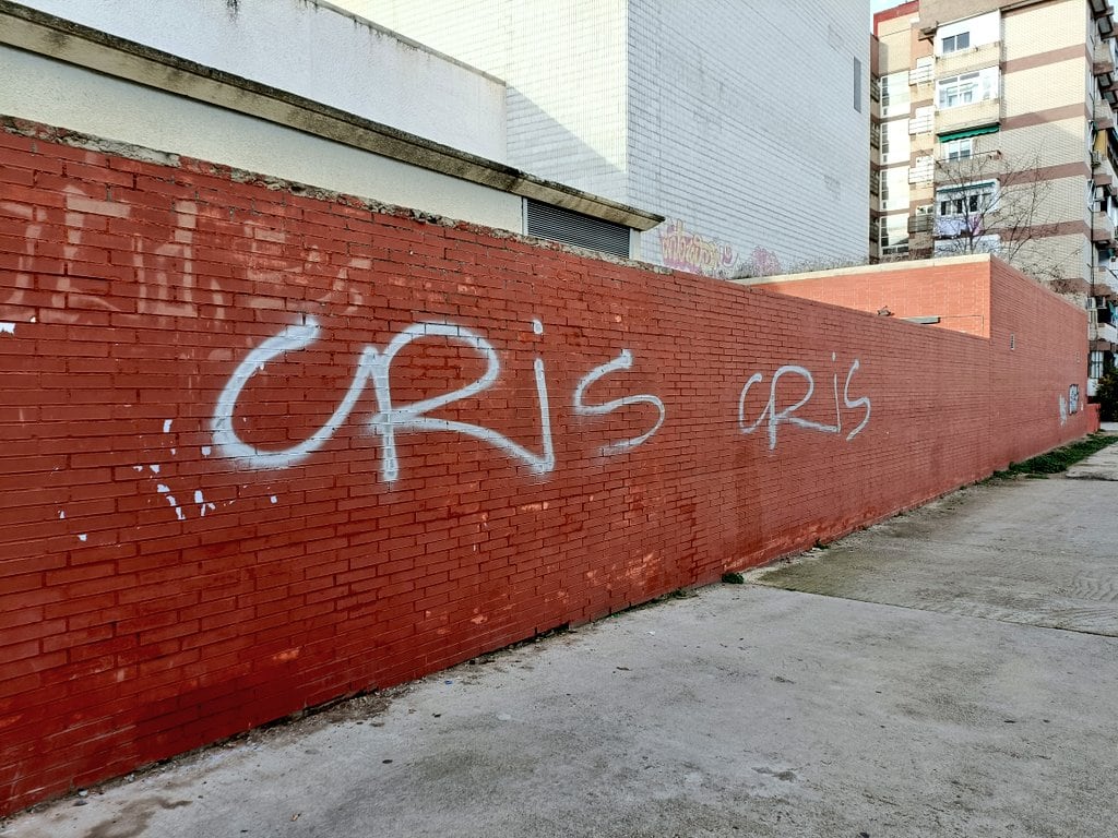 Un hombre realizó en una noche más de 50 grafitis en fachadas públicas y privadas, contenedores y coches con la marca &#039;CRIS&#039; en San Martín de la Vega y ahora recibirá una fuerte multa.