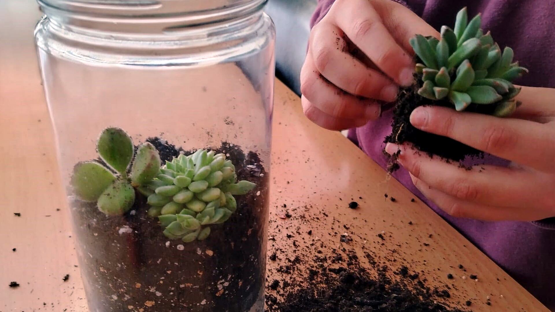 Taller medioambiental en Campillos