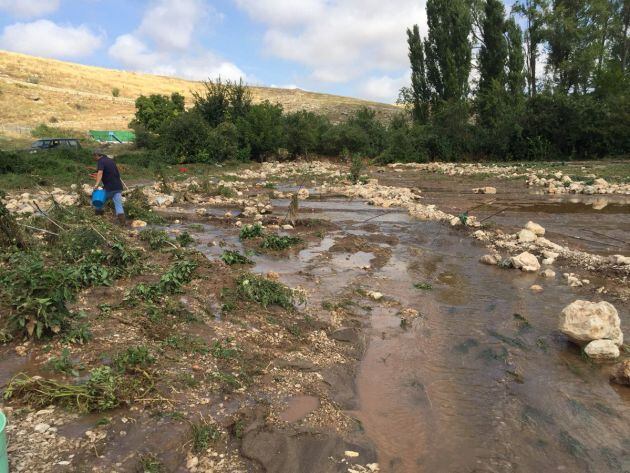 Zona afectada en Fuentelencina.