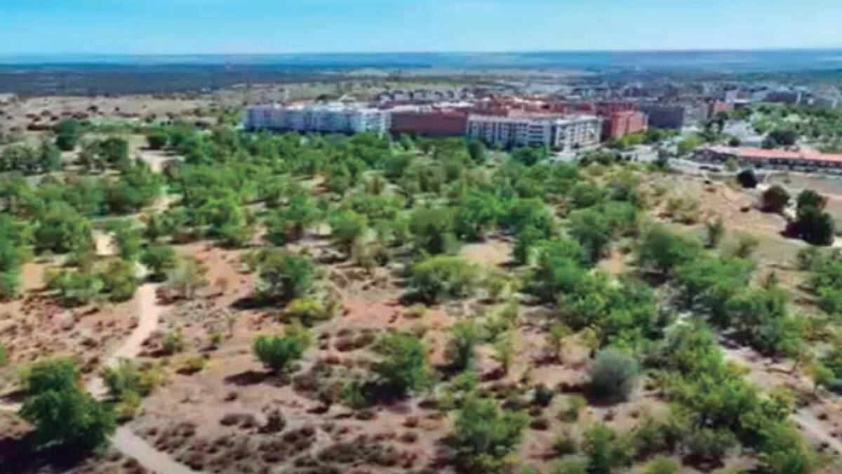 Hablamos con Fernando Martínez, concejal de Participación Ciudadana de Alcobendas, sobre la yincana para conocer el Parque Forestal de Fuentelucha