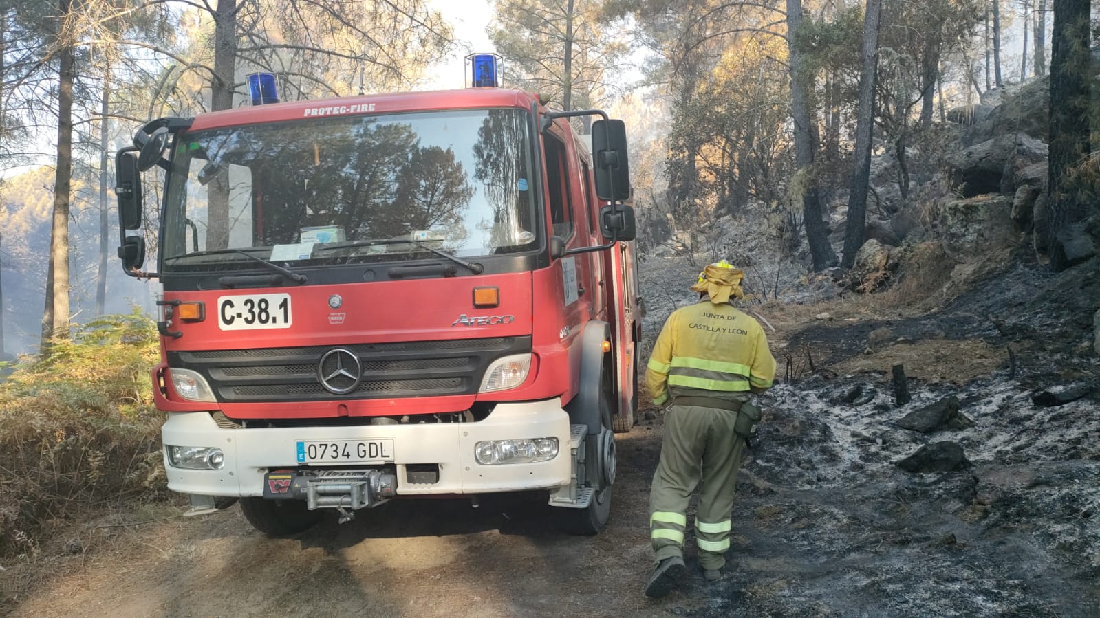 El operativo este lunes ha contado con 29 medios aéreos, 18 autobombas y tres bulldozer