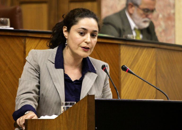 Inmaculada Nieto interviene el Parlamento Andaluz