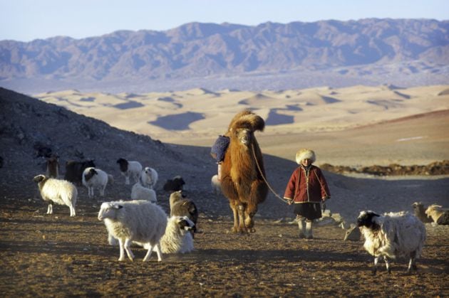 Pastor nómada mongol en el desierto del Gobi