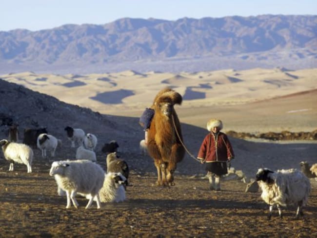 Pastor nómada mongol en el desierto del Gobi