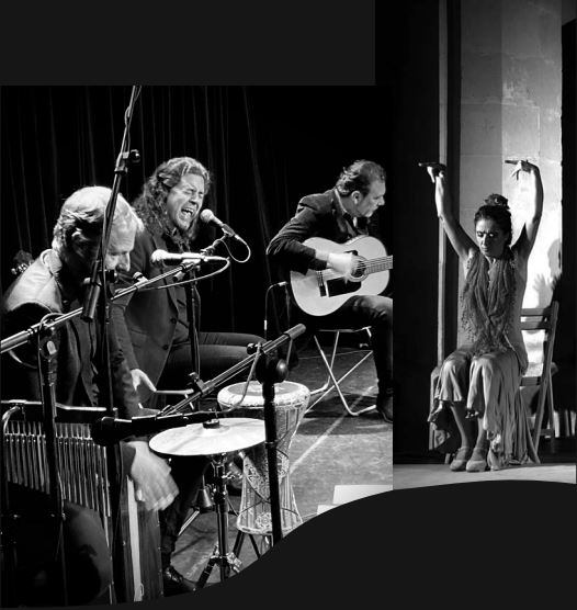 Dos conciertos gratuitos, uno a cargo del grupo “Pan de Tetera” y otro con Borja Rodríguez, se podrán disfrutar el sábado 24 de febrero y el 9 de marzo