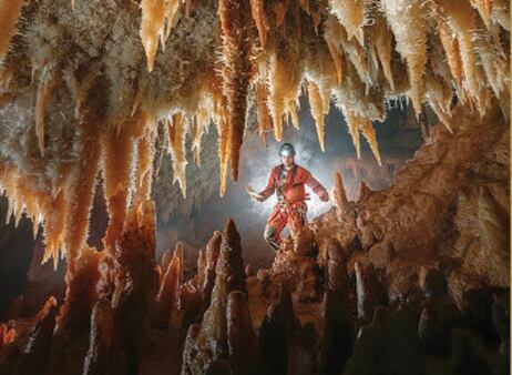 Detalle de la fotografía ganadora el año pasado, obra de Remi Flament