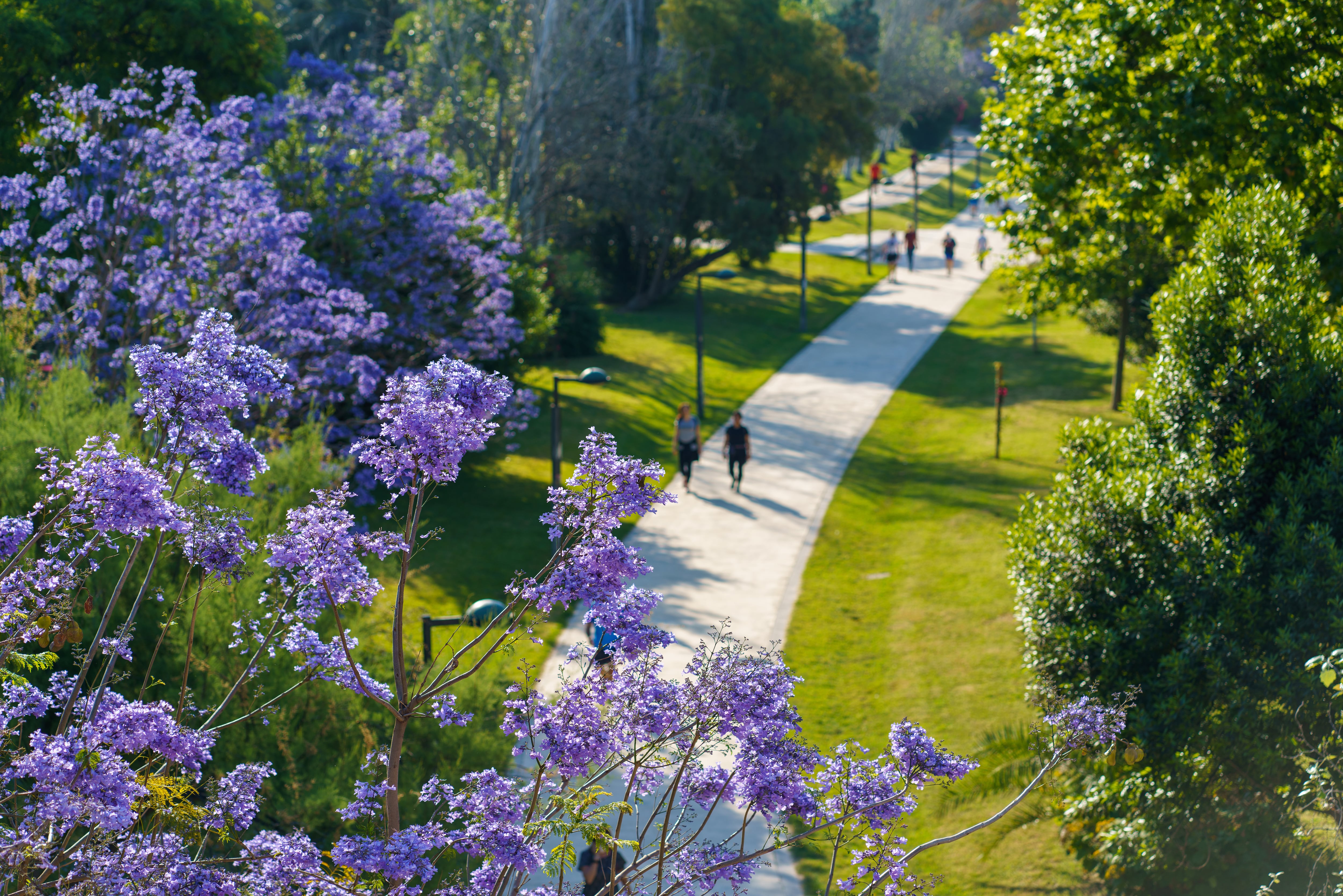 Jardín del Turia de València