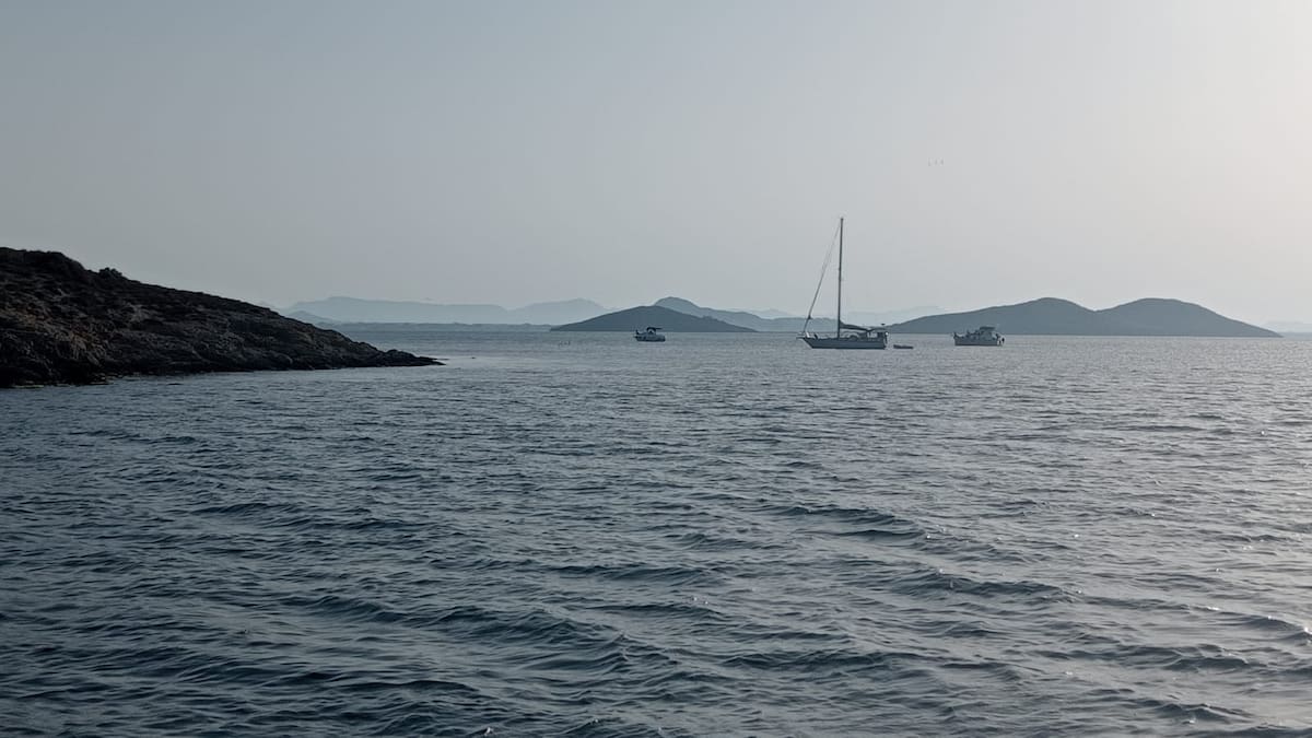 Entrevista a Salvador Solaz, miembro de la junta directiva de la Asociación de Chárter de Murcia