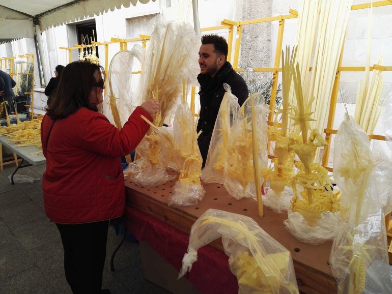 Venta de palma blanca