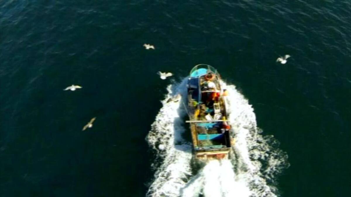 Alivio con el reparto de cuotas pesqueras