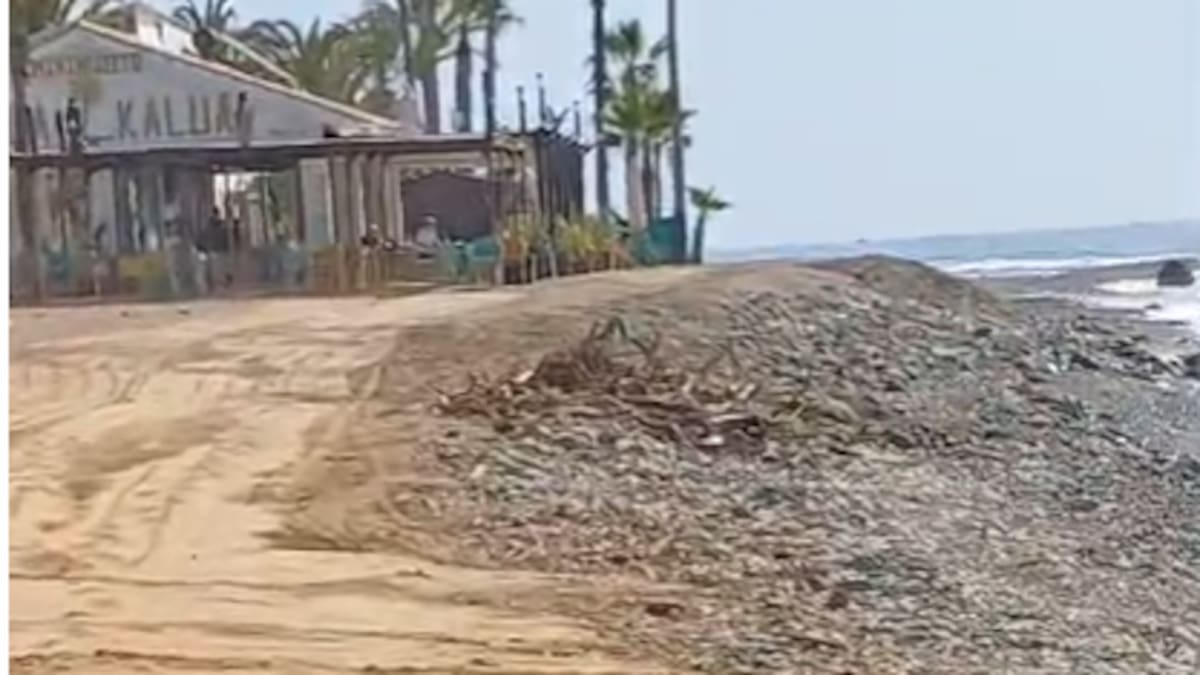 Javier Salas, aprobación DIA playas de San Pedro