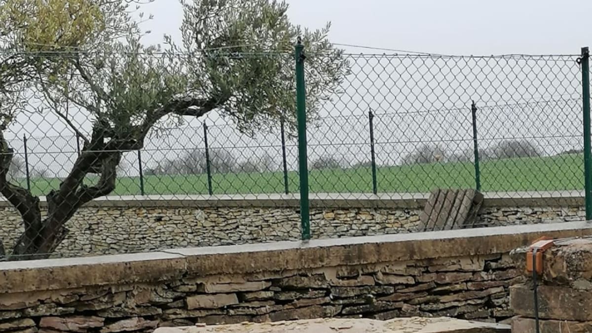 Entrevista con la Granja escuela Basabere (06/03/2020)