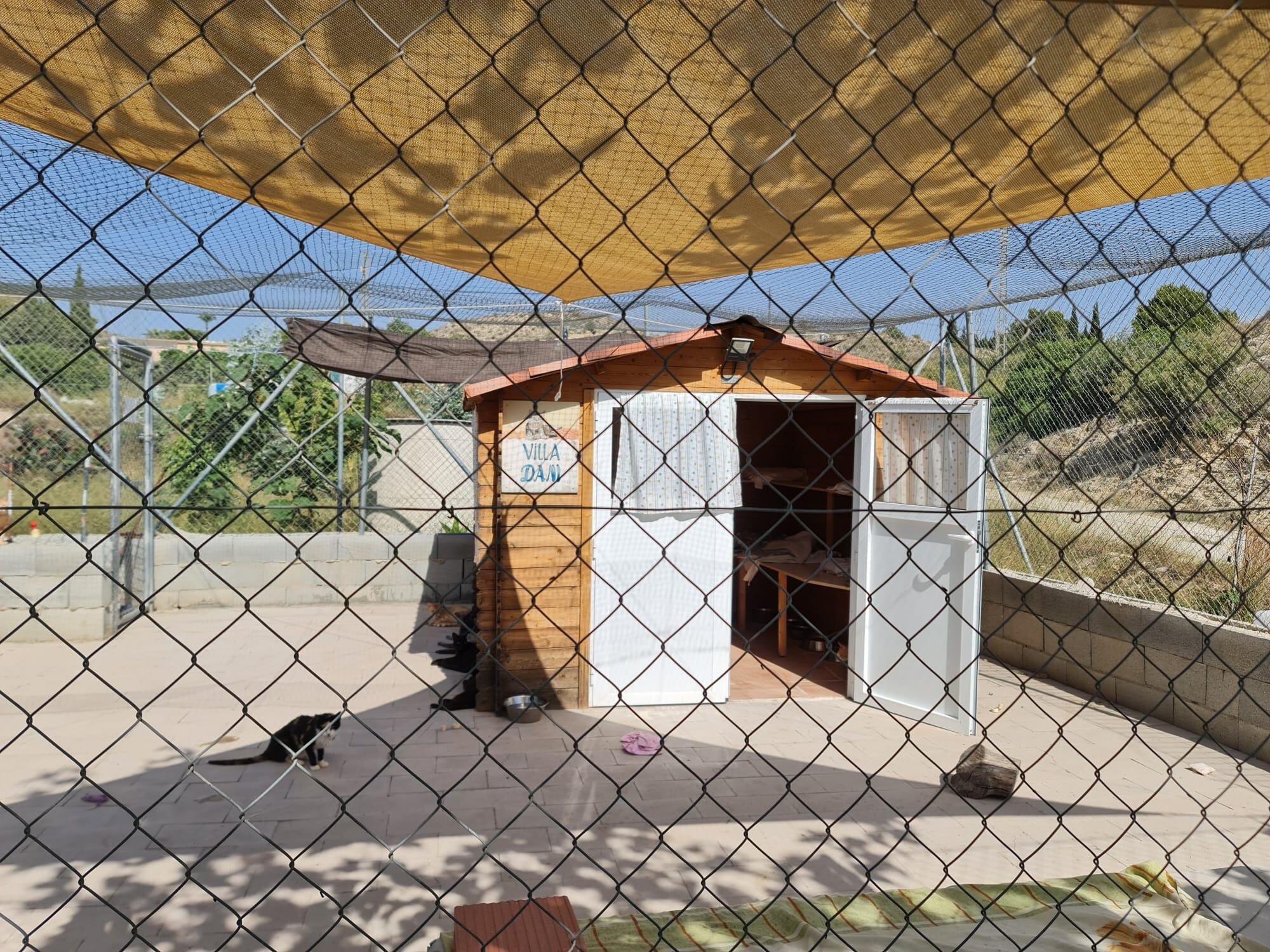 Albergue de la asociación Felinos Lo Morant