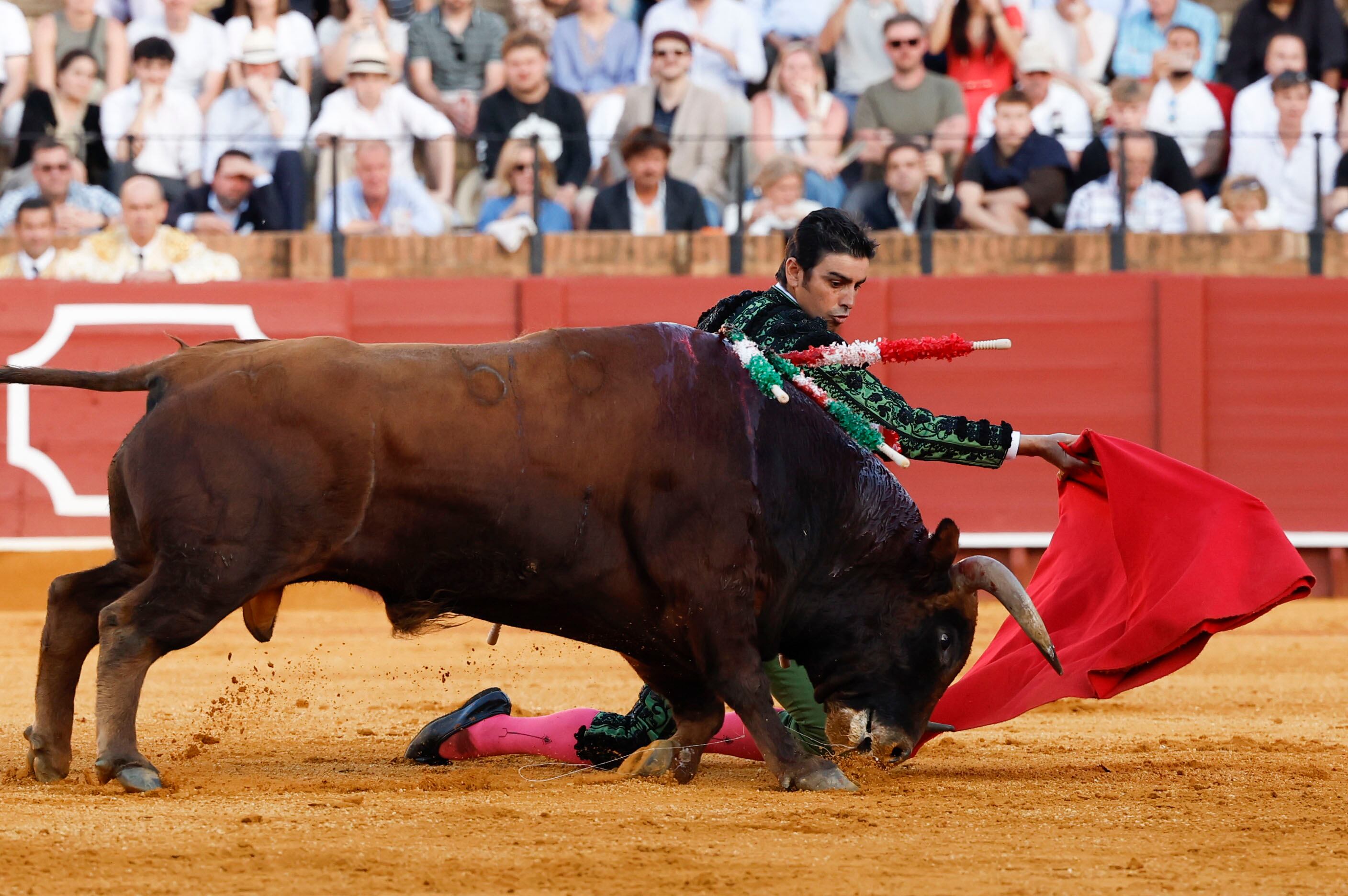 SEVILLA, 10/04/2024.-El torero Miguel Ángel Perera faena al segundo de su lote durante el cuarto festejo de la Feria de Abril, este miércoles en la plaza de toros de la Real Maestranza de Sevilla.-EFE/ Julio Muñoz
