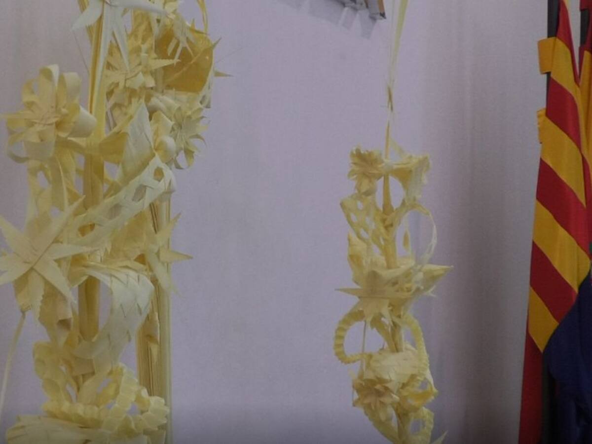 Vuelve el concurso de la Palma Blanca de Elche con su edición número 60