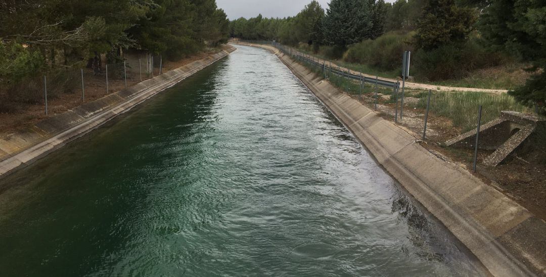 Embalse, trasvase, riego, regadío, agua, canal, Tajo-Segura