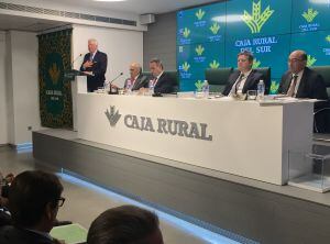 El presidente de Caja Rural del Sur informó a la Asamblea General de Socios de los resultados del 2015, que ha supuesto un incremento del 22% con respecto a los del año anterior