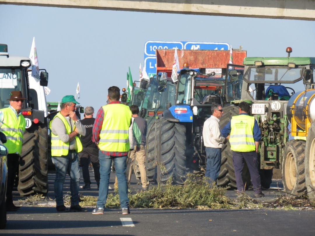 Participantes en la tractorada de protesta en Lucena, Cordoba