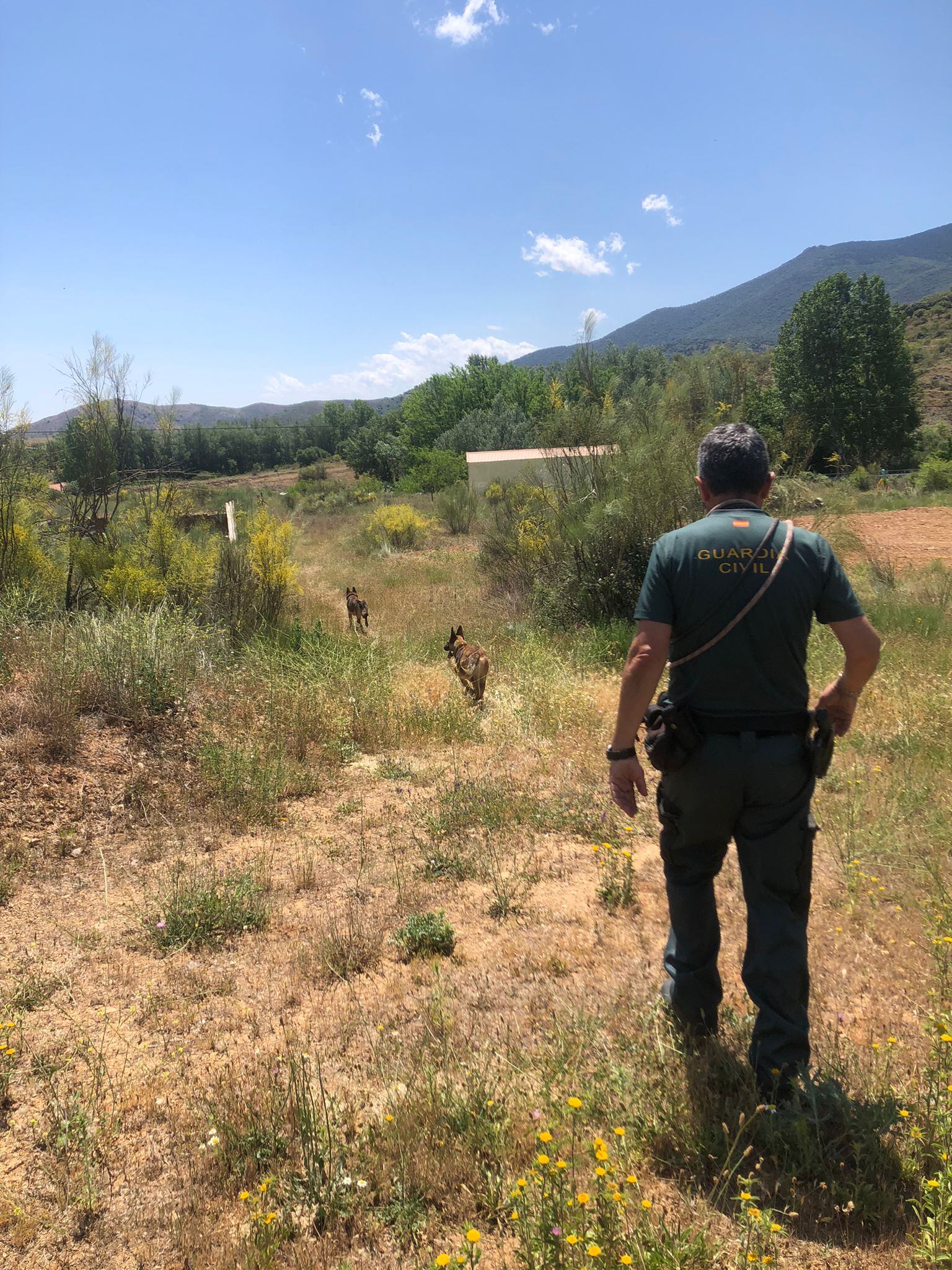Dispostivo de búsqueda de la Guardia Civil / Guardia Civil