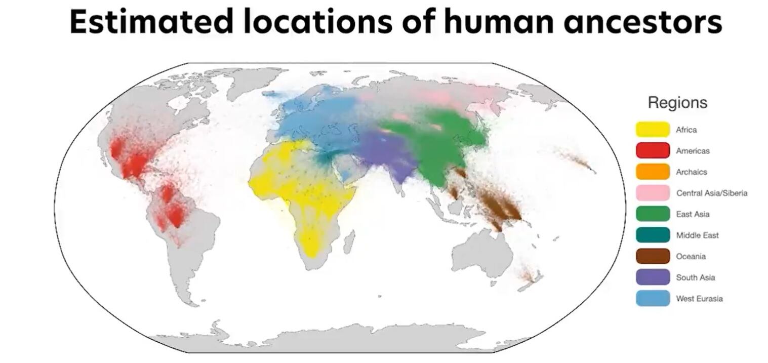 El mayor árbol genealógico genético, para comprender a la familia humana.