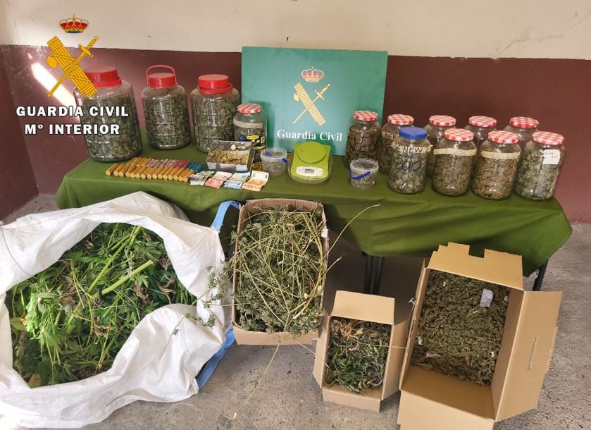 La Guardia Civil desmantela una plantación de marihuana y un punto de venta en Tudela de Duero