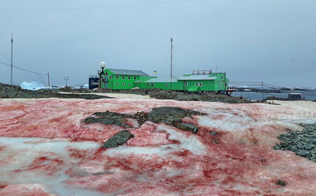 La sangre rosa se ha apoderado de la base.