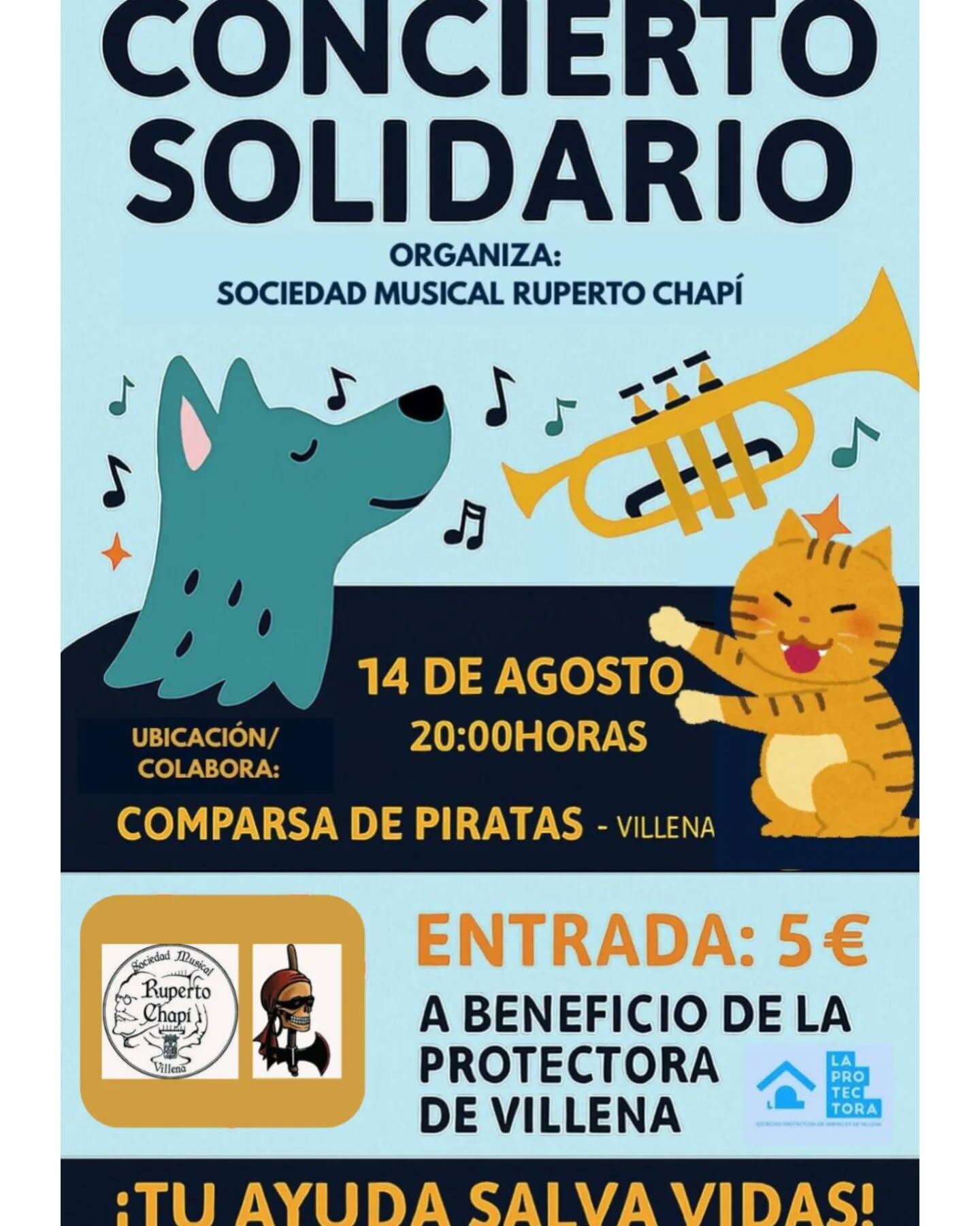 Cartel del concierto