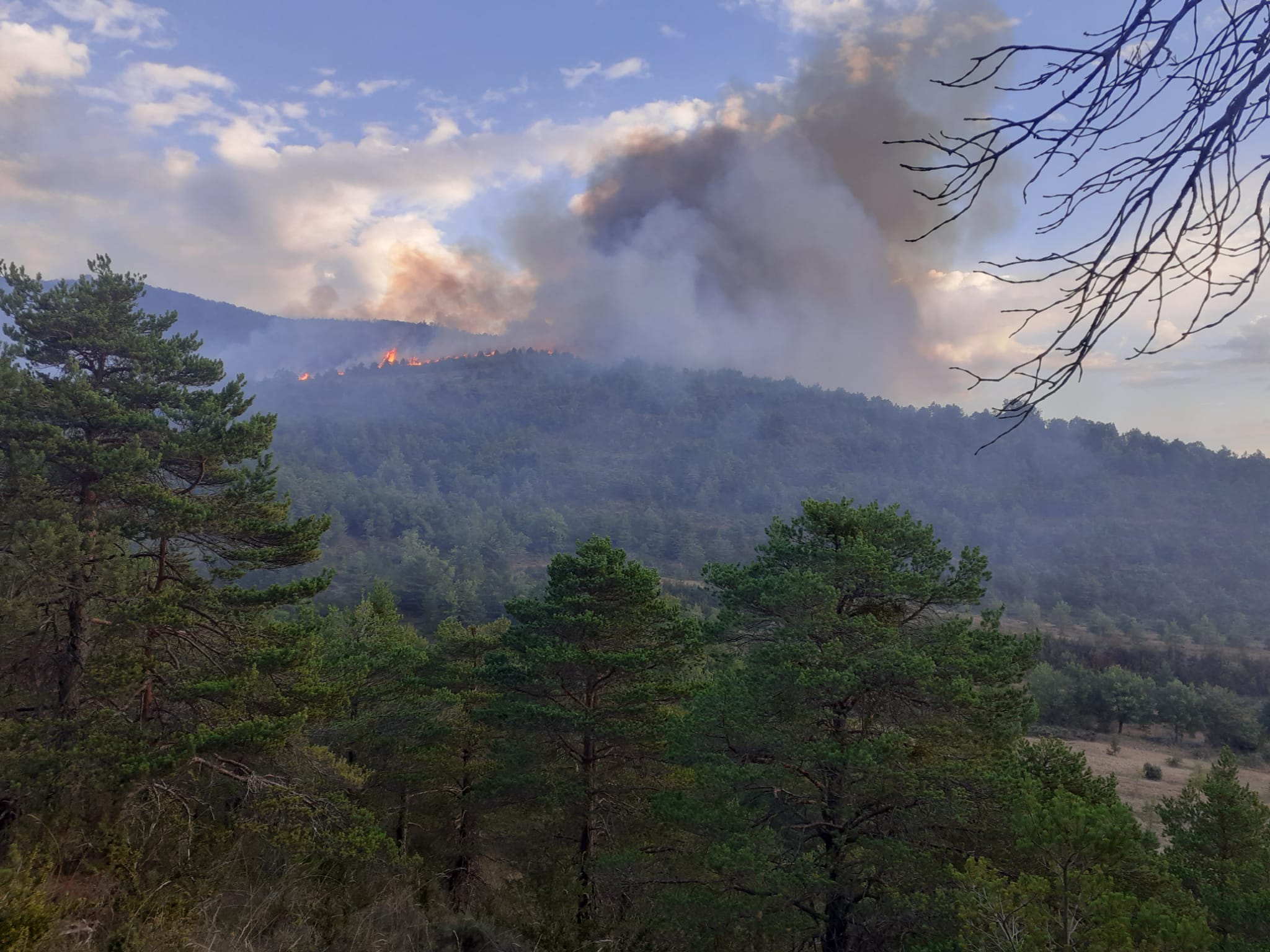 Fuego en la sierra de Santa Bárbara, en el término municipal de Bailo