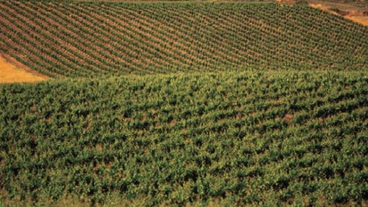 Primeros pasos municipales para conseguir la Enorregión y el Valle de la Lengua