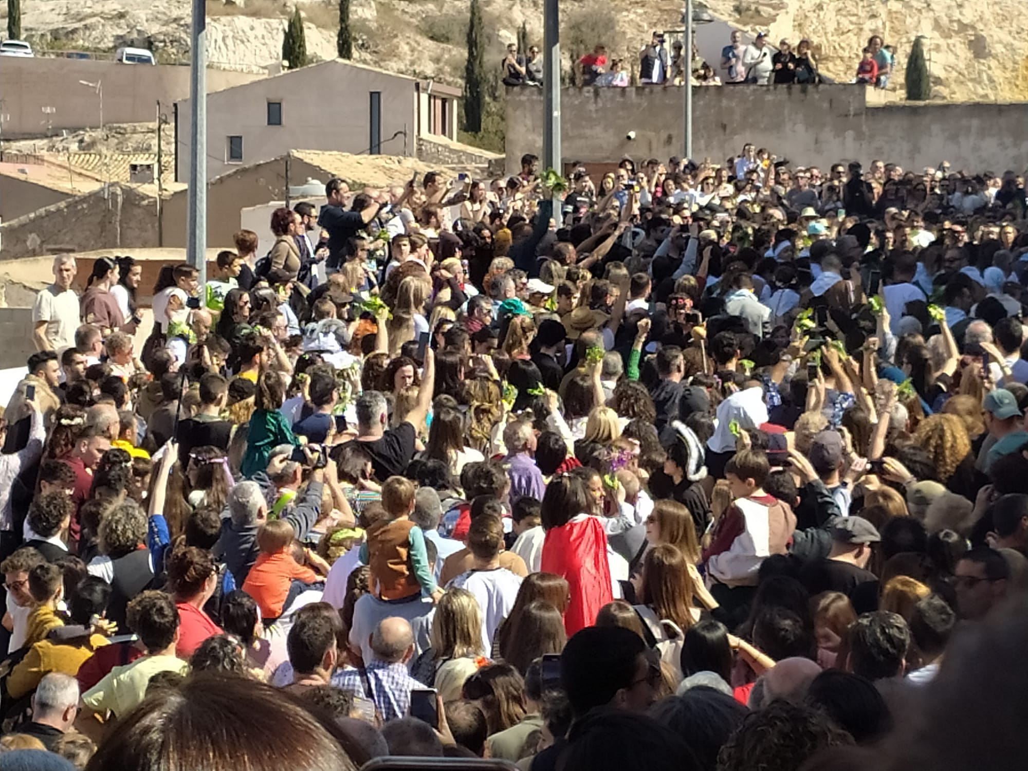 Momento de la lechuguina