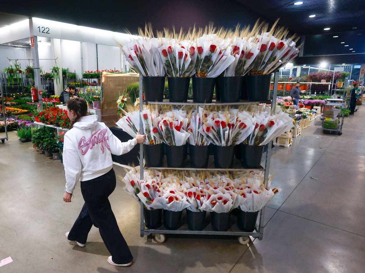 Sin rosas catalanas por Sant Jordi: el gremio de floristas advierte de que el cultivo autóctono no alcanza el 1% y “es irrecuperable”