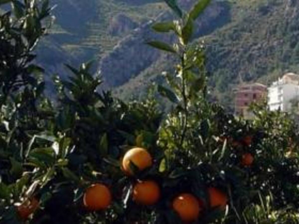 Una ruta por la "pequeña Suiza valenciana"