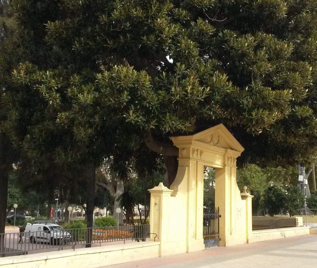 Detalle del Paseo del Malecón