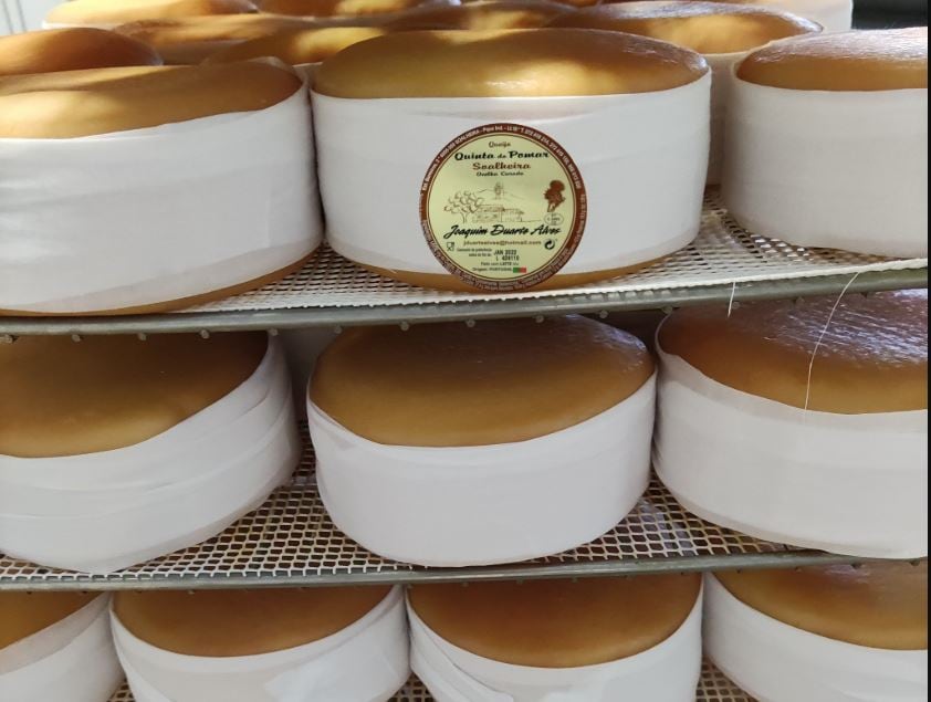 El queso Quinta do Pomar, el mejor queso del mundo