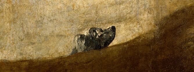 Detalle de &#039;Perro semihundidio&#039; de Goya