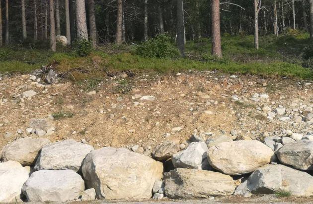 ¿Puedes dar con el animal oculto en la imagen?