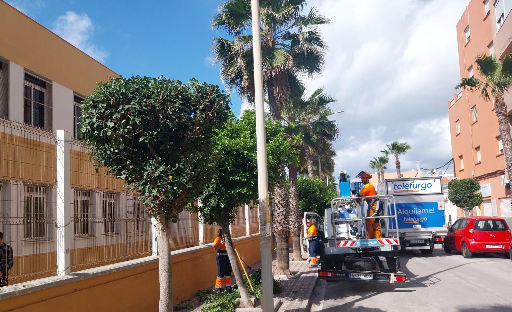 Trabajos de poda en La Línea