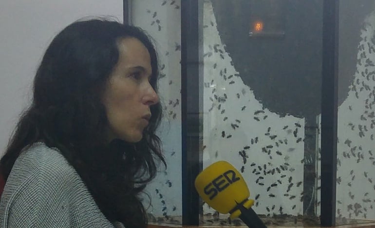 Amparo Pardo. O Enredo do Abelleiro.