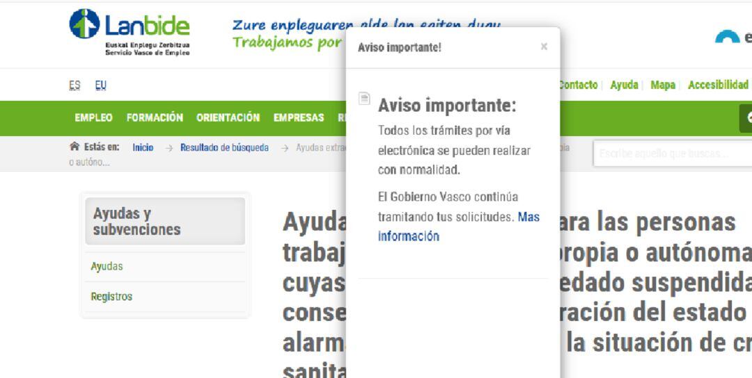 Aviso en la web de Lanbide al acceder a la página de las ayadas