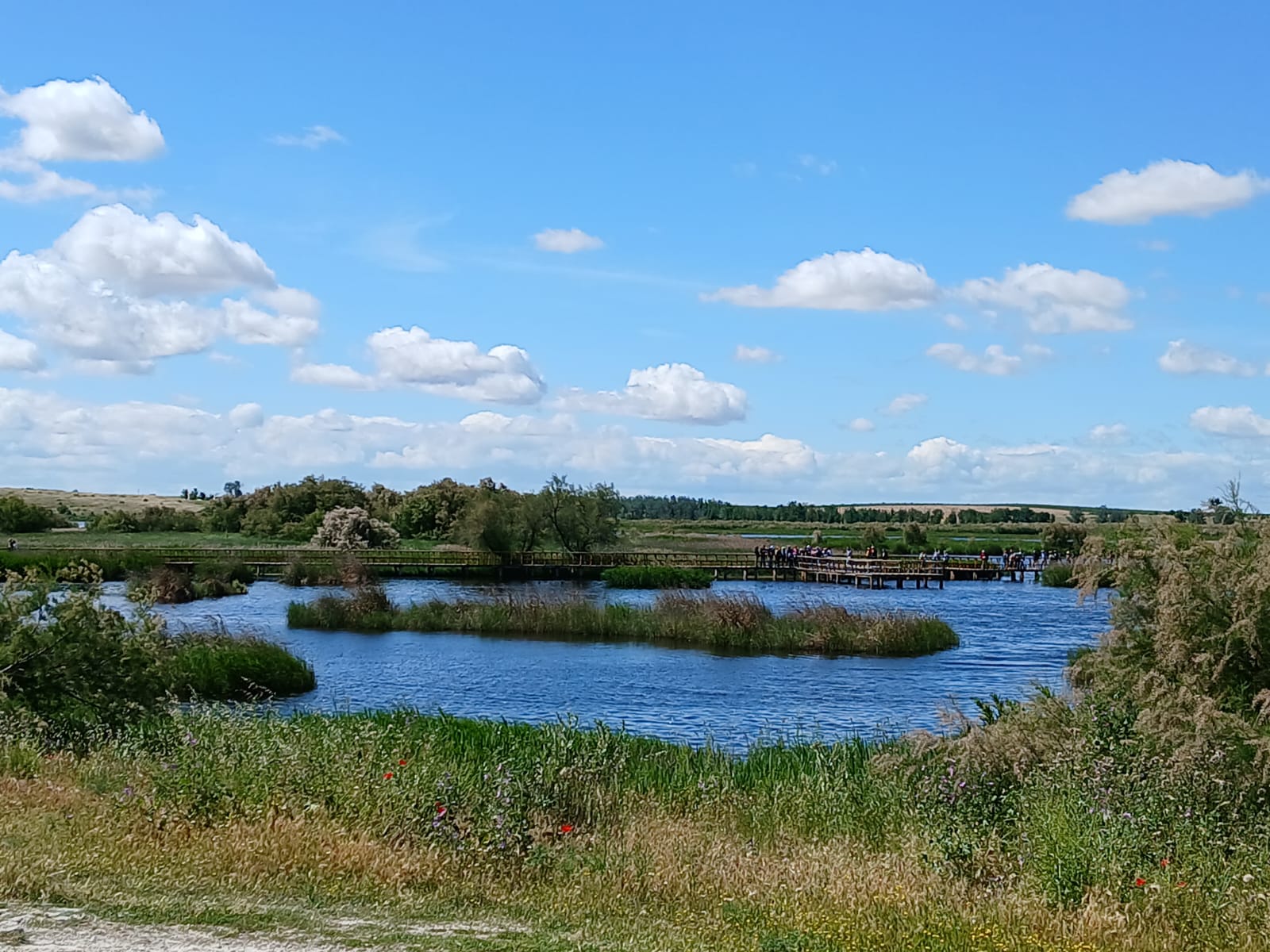 Zona inundada en el parque nacional de las Tablas de Daimiel