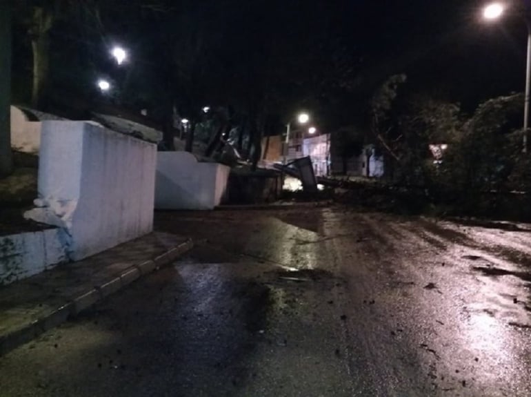 El pino caído cortó la calle