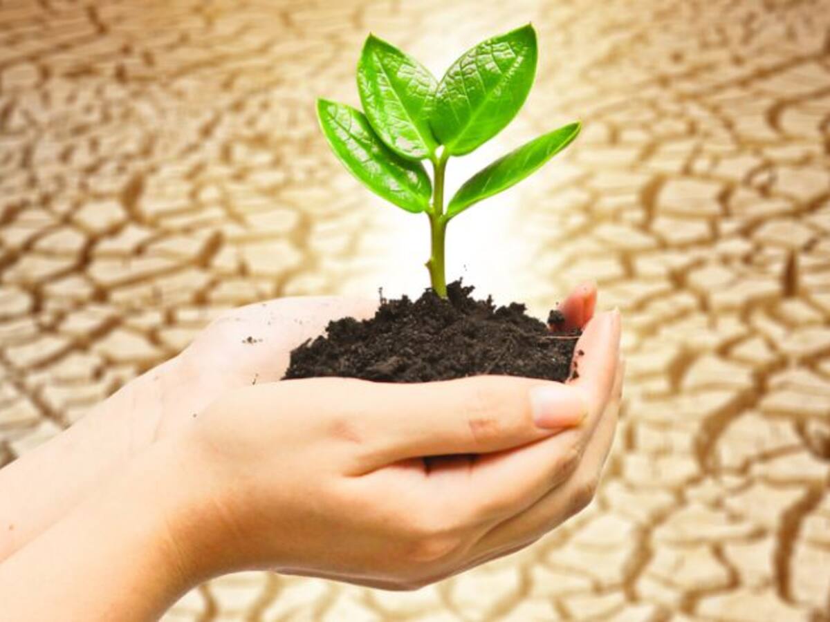 10 millones de euros en obras para paliar la sequía en la cuenca del Segura