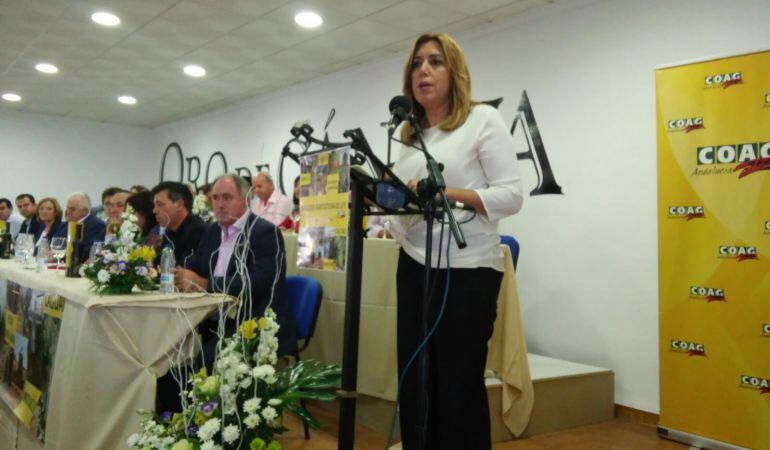 Momento de la intervención de la Presidenta de la Junta de Andalucía, Susana Díaz