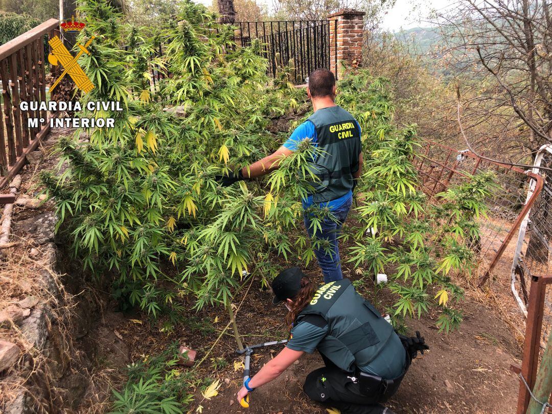 La operación se desarrolló en diferentes localidades