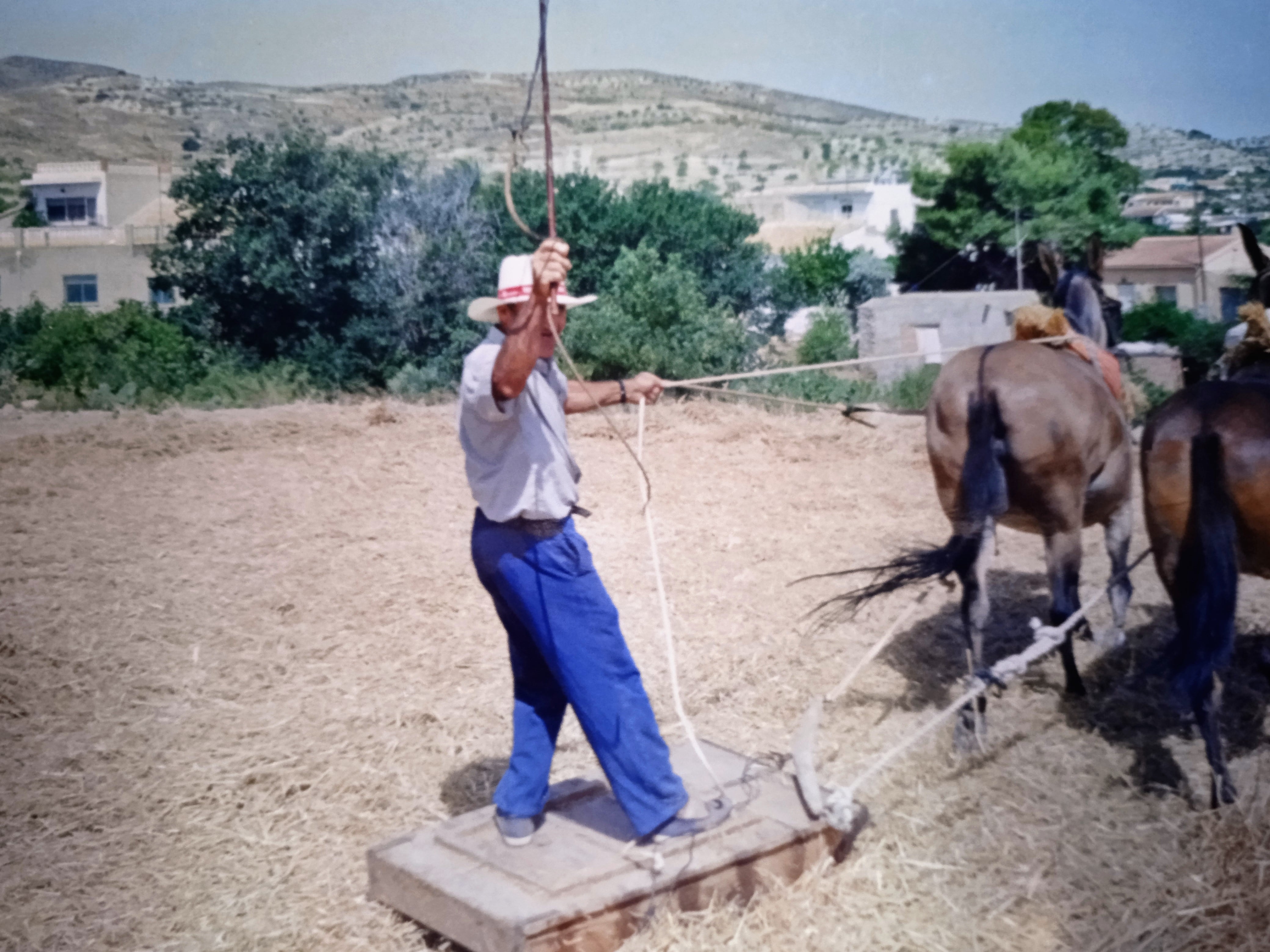 Año 2000. Antonio y su primera nieta Maria José, junto a su rebaño.