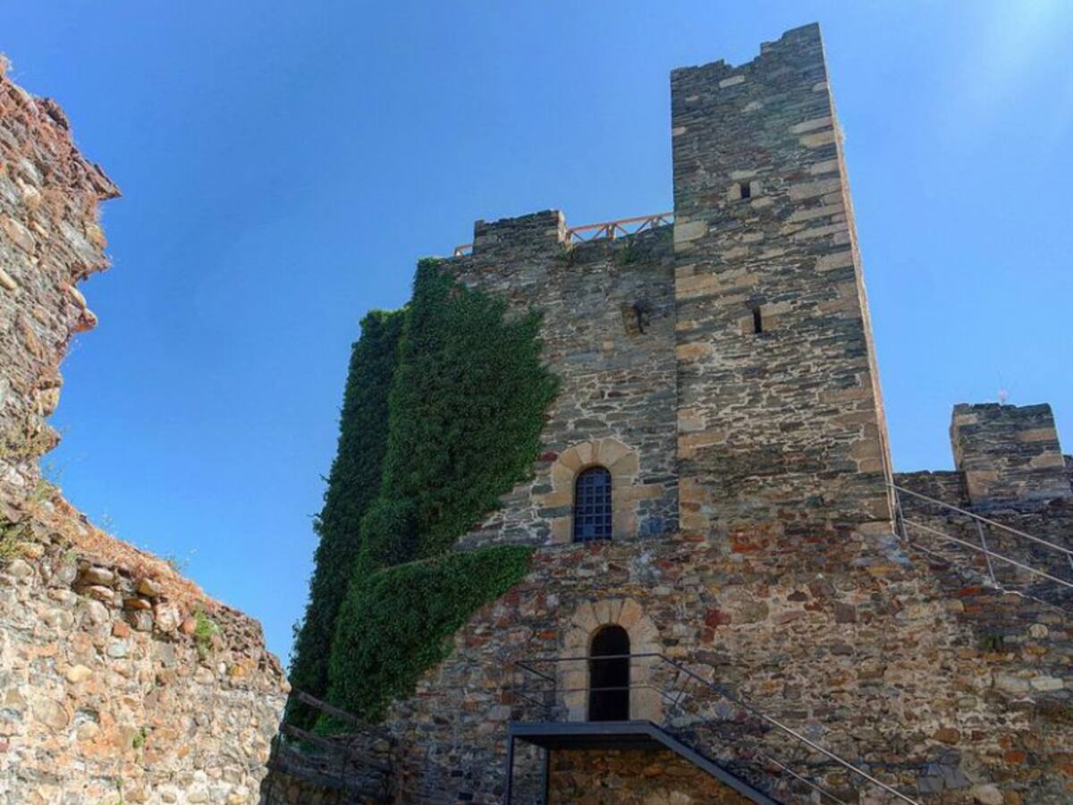 Bernabé Moya aboga por mantener el 'jardín vertical' del castillo