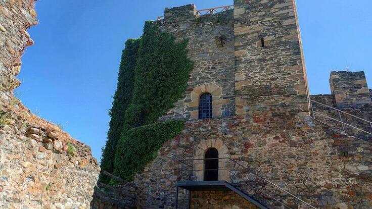 Bernabé Moya defiende la permanencia de la hiedra en el castillo