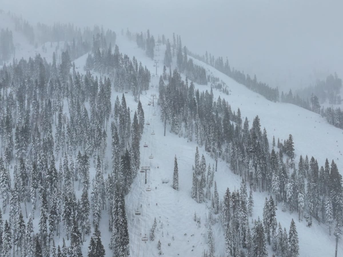 Hallan muertos a ocho esquiadores tras una avalancha en California
